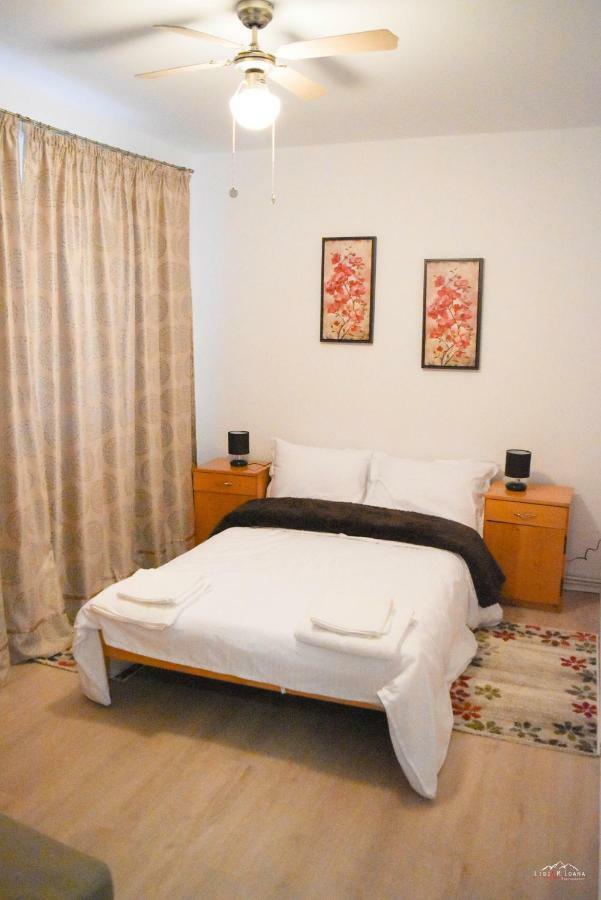Spacious And Cozy 3Bd+Terrace Couples Apartment Timisoara Exterior photo