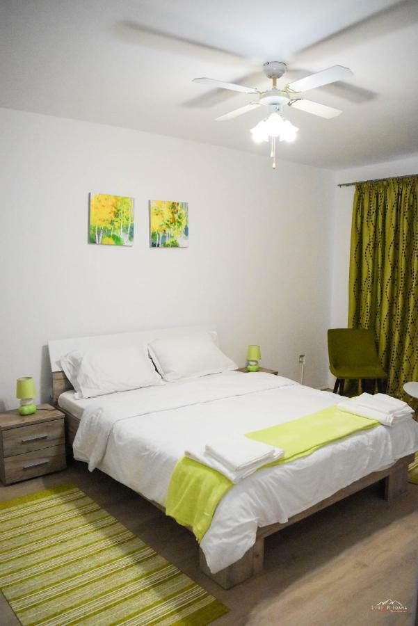 Spacious And Cozy 3Bd+Terrace Couples Apartment Timisoara Exterior photo