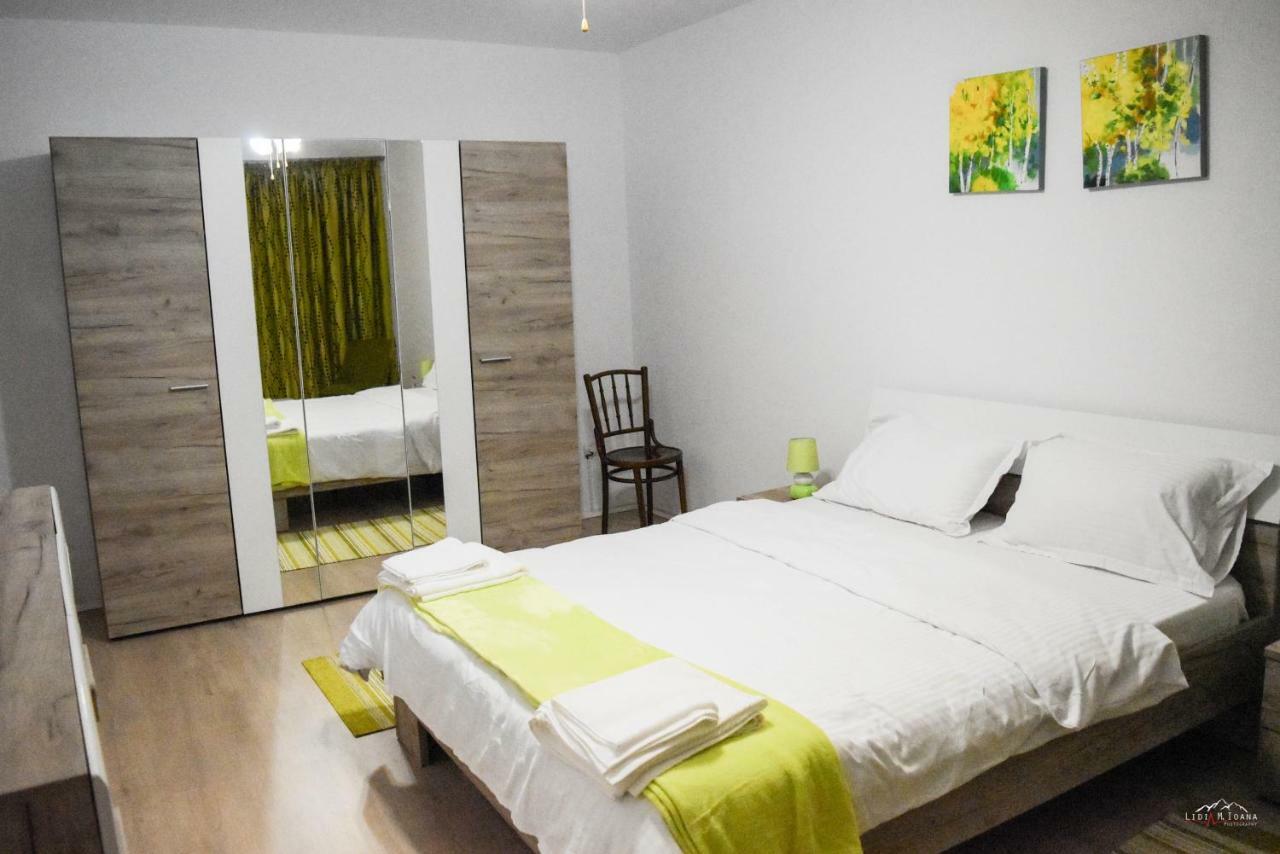 Spacious And Cozy 3Bd+Terrace Couples Apartment Timisoara Exterior photo