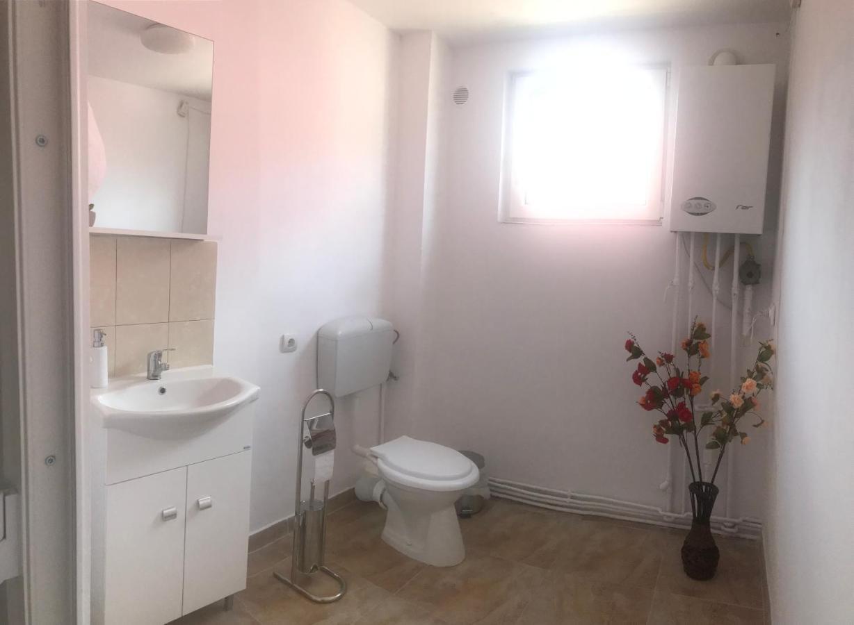 Spacious And Cozy 3Bd+Terrace Couples Apartment Timisoara Exterior photo